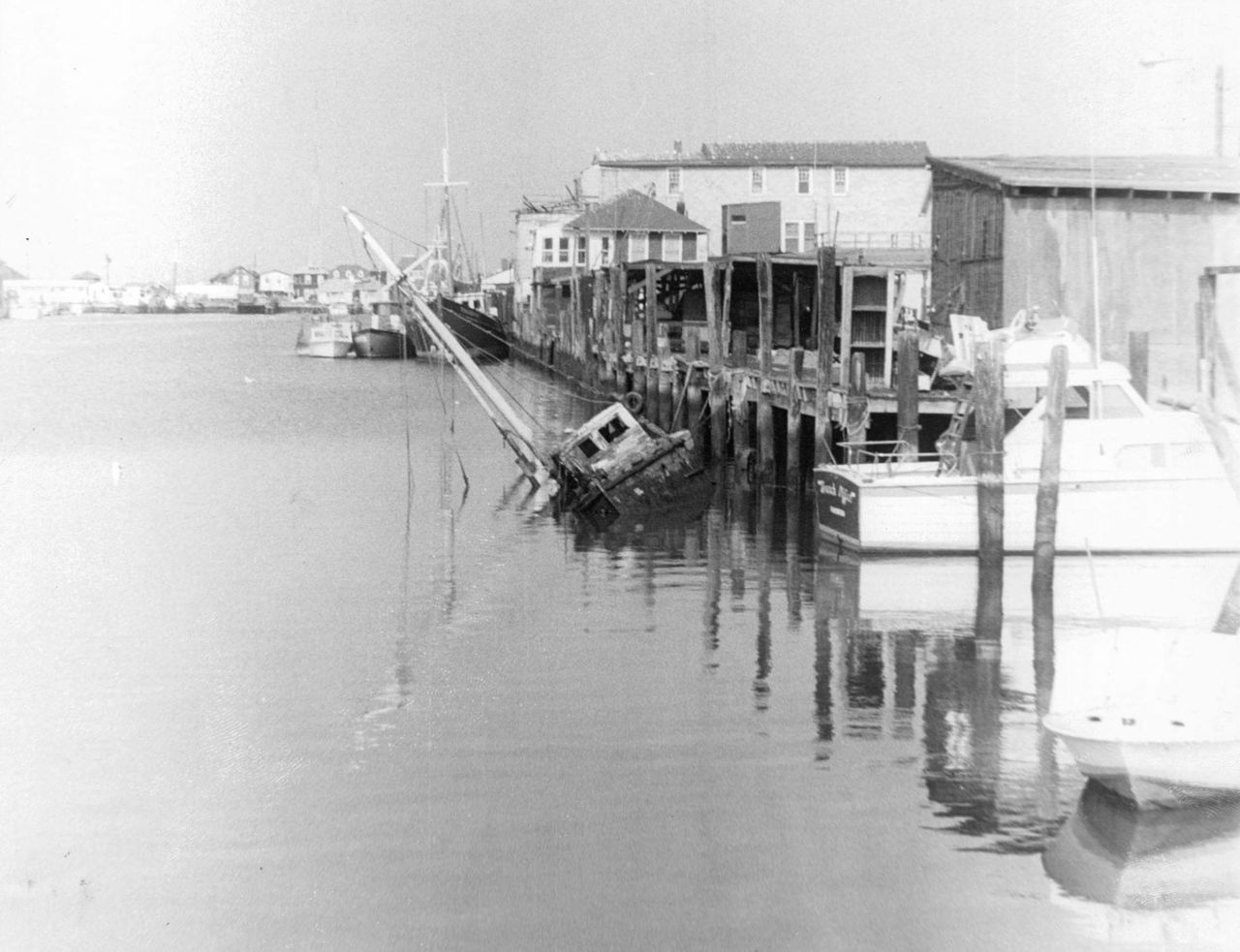 Gardner's Basin